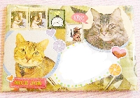 Cat lady mail art and letter swap USA