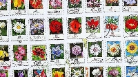 20 Stamps + 1 touristy postcard