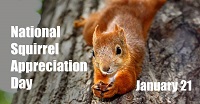 Squirrel Appreciation Day Profile decorations 