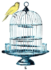 SUSA - ATC w/ a Birdcage