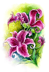 Pinterest - Flowery Dragons