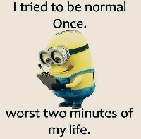 Pinterest - Snarky Minion Quotes