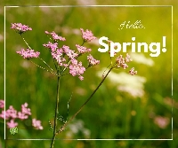 TCHH ~ An Envie of Spring ~ Scavenger Hunt