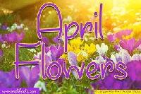 April Flowers Swap