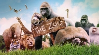 ATC - The Zoo (USA)