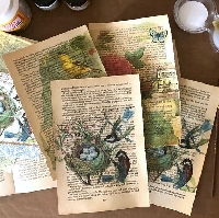 MFF:  Bird Decoupage Book Pages