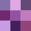 CPG Purple Flat Envie - Global 