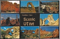 CF - Sender's Choice Postcard