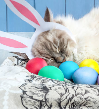 KKL: Cat + Egg. Easter Fun ATC Swap