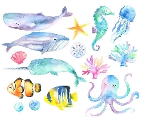 Sea Creature Postcards Swap 🐚🐠🐬🐙🦀🐋