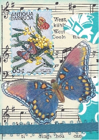 SF ~ Butterfly ATC