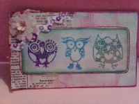 3x5 OWL themed skinny card