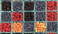National Berry Month