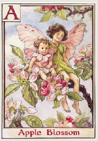 USAPC: Flower Fairy Tag: Alphabet Fairies