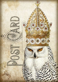 VC: Fancy Owl Tag