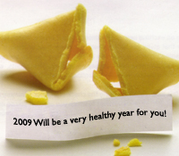 2009 Wellness Goals Visionwork