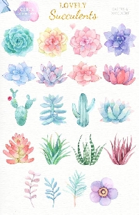 Succulents and Cacti Swap