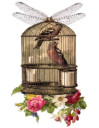 Bird Tag: Cage Birds