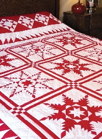 Red/White 9 block christmas quilt