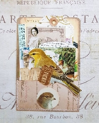 MFF:  Bird-Themed Pocket Tag