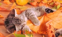Fall colors card swap - Newbies Ok!