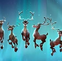 SH:Santa's Reindeer Christmas card ( USA & Canada)