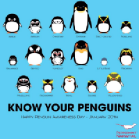 Penguin Awareness Day ATC