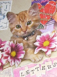 CF - Kitty/Cat Valentine Card + flat surprise