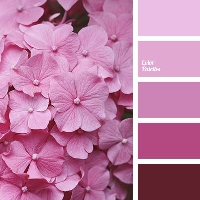 EML: Mini Pocket Letter - Colours of Pink