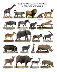 African Animals ATC