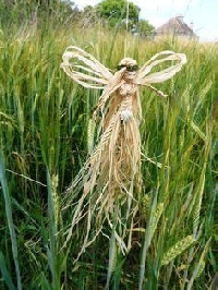 Magickal Fairy Corn Husk Doll