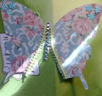 BL ~ Butterfly Decorated