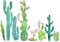 Anything goes~CACTUS!!