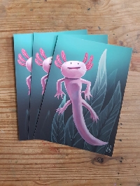 S&T: Amphibian (non-frog) postcard