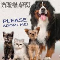 WnWHS: *Adopt A Shelter Pet Day*
