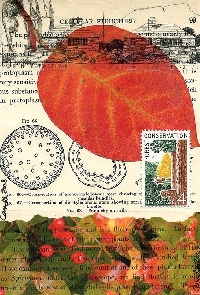ML: Hand Made Postcard for You