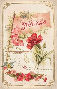 RG: Anything Goes Postcard