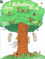 Arbor Day-Let's celebrate the trees profile deco