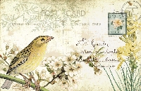 SMSUSA:  Handmade Postcard: Flower + Bird