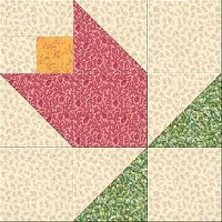 2020 Tulip of the month block USA PINK