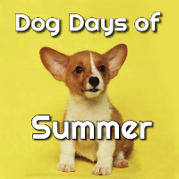 Dog Days of Summer Filled Envie