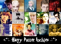 Harry Potter Inchies