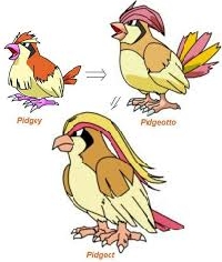 GAG: Pokemon - Pidgey
