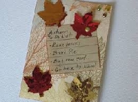 A.I.: Words of Autumn