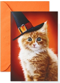 2 Partner Animal Themed Halloween Card Swap - USA