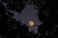 MAS: Full Moon