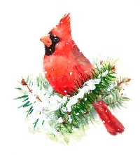 MFF:  Christmas Cardinal Tag