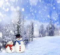 Christmas Card -SNOW SCENE-USA
