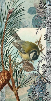 MFF: Winter Bird Tag