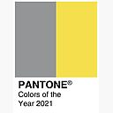 Color Theme:  Yellow and Grey